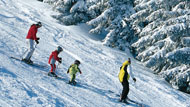 Familie beim Skifahren in Filzmoos