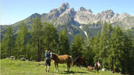 Wandern in Filzmoos